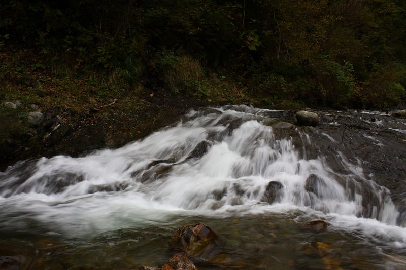 Datei:Teufelsschlucht Seewigtal 73460 2014-10-02.jpg