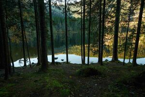 Ödensee 77954 2014-11-03.jpg