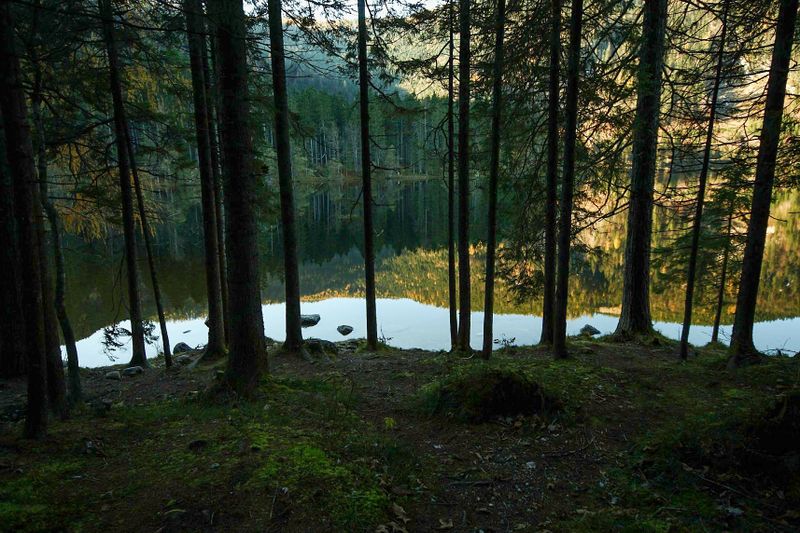 Datei:Ödensee 77954 2014-11-03.jpg