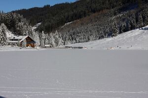 Bodensee 26635 2014-01-01.jpg