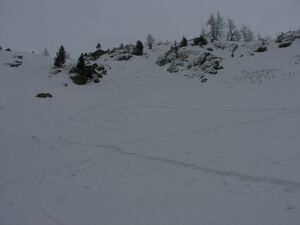 Gamsfeld pietrach 48006 2007-02-01.jpg