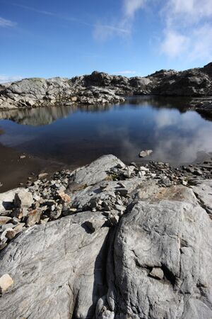 Goldlacken 0279 2013-10-08.jpg