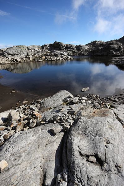 Datei:Goldlacken 0279 2013-10-08.jpg