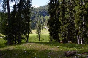 Große wiesmahd-0130-2022-06-12.jpg
