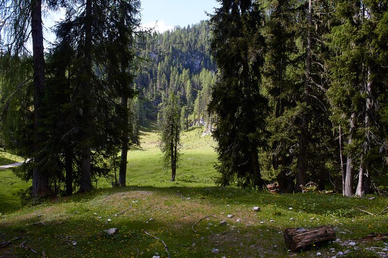 Datei:Große wiesmahd-0130-2022-06-12.jpg