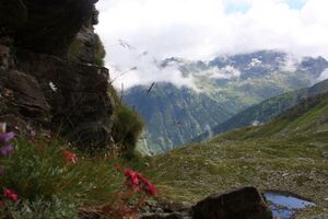 Im Wildkar 2579 2009-07-25.jpg