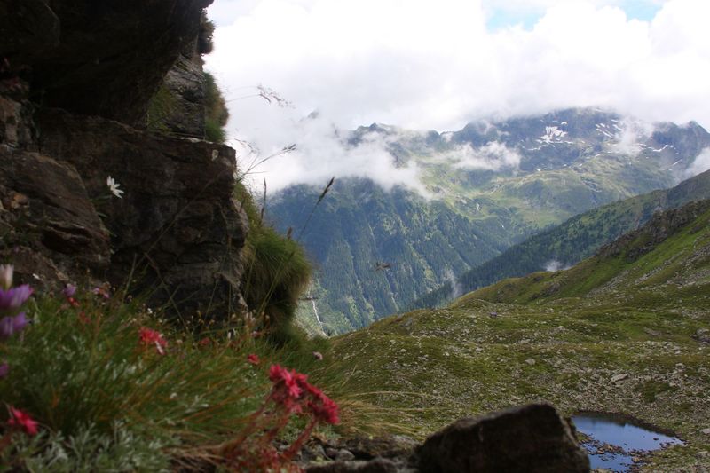 Datei:Im Wildkar 2579 2009-07-25.jpg