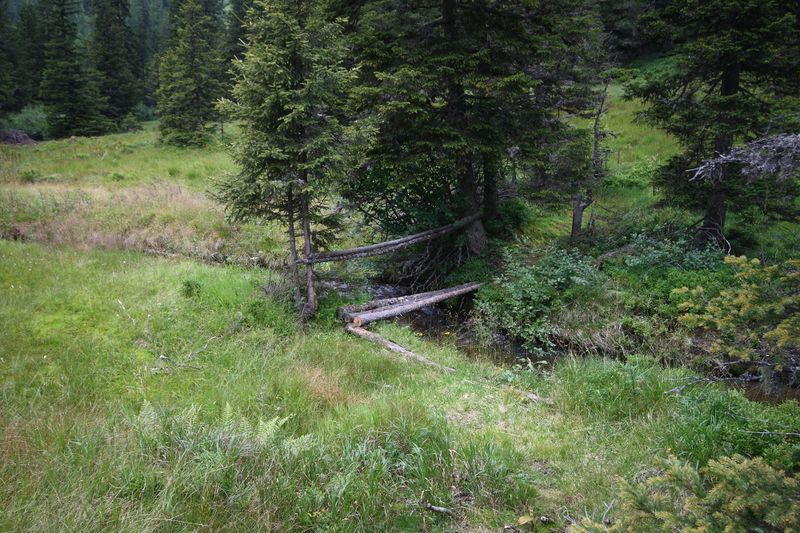 Datei:Knallkar großsölk 55618 2016-08-17.jpg