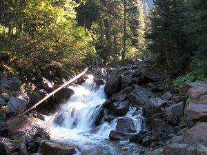 Obertalbach 0100 2007-08-26.jpg