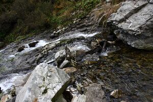 Säusenbach kleinsölk 73637 2014-10-03.jpg