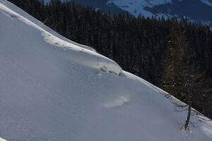 Seilbahn-guttenberghaus 0294 2012-01-18.jpg
