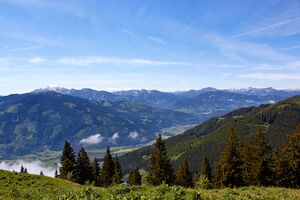 Selzthal rossboden-0157-2022-05-31.jpg