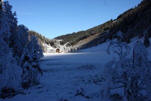 Bodensee 26605 2014-01-01.jpg