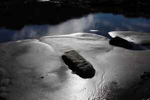 Goldlacken 0262 2013-10-08.jpg