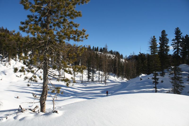 Datei:Große wiesmahd 97973 2015-01-13.jpg