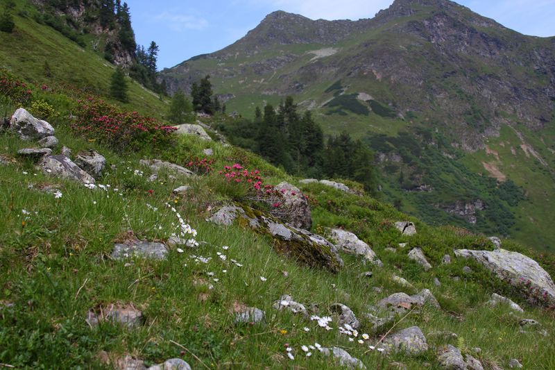 Datei:Herzmaierkar 32471 2011-07-06.jpg