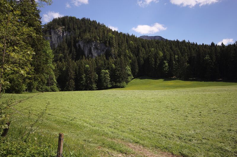 Datei:Krautmoos bad mitterndorf-11-2017-05-27.jpg