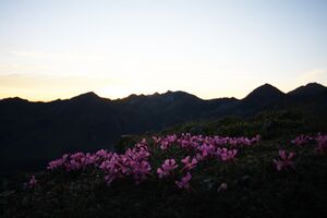 Nageleck sunrise 27392 2010-08-11.jpg