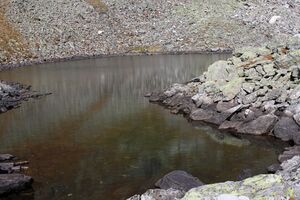 Oberer Wiegensee 75925 2014-10-18.jpg