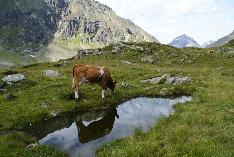 Datei:Oberer lanschitzsee 98065 2011-08-12.jpg