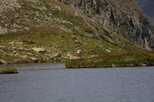 Oberer lanschitzsee 98126 2011-08-12.jpg