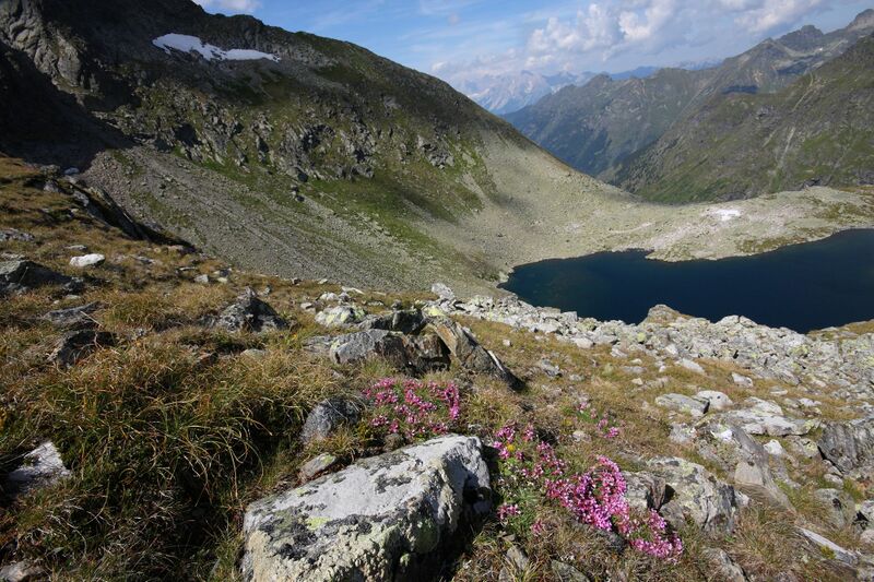 Datei:Rauenbergsee 2903 2009-08-19.jpg