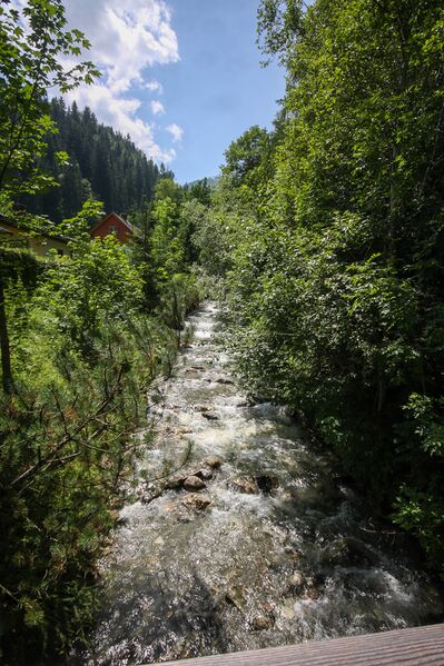Datei:Seewigtalbach Aich-1000-2012-06-30.jpg