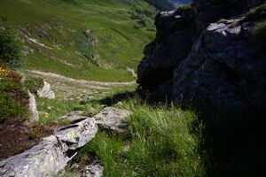 Spateck 94993 2015-07-11.jpg