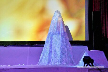 Traumwelt des Lichts - der Geist der Weihnacht 2025 09.jpg