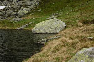 Untere riednersee 65353 2014-06-26.jpg