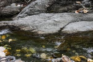 Walchenbach 99839 2015-06-07.jpg