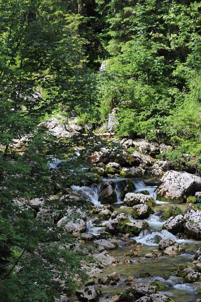 Datei:Zimitzbach 77689 2018-06-04.jpg