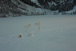 Bodensee 26470 2014-01-01.jpg