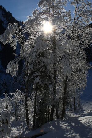 Bodensee 26532 2014-01-01.jpg