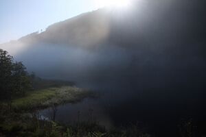 Bodensee 30250 2011-08-02.jpg