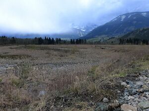 Frauenberger Torfstich0282.JPG