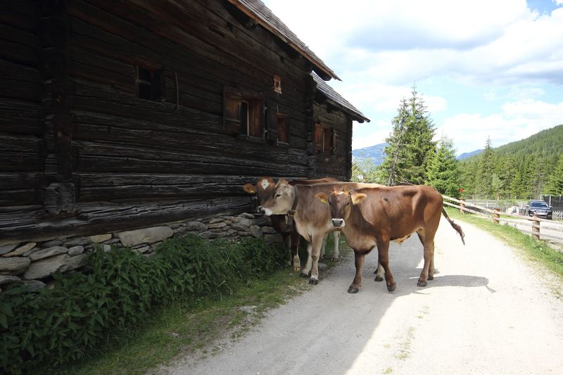 Datei:Gumpental 49559 2017-06-09.jpg