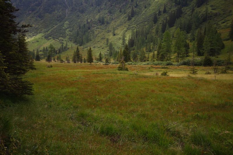 Datei:Knallkar großsölk 55650 2016-08-17.jpg