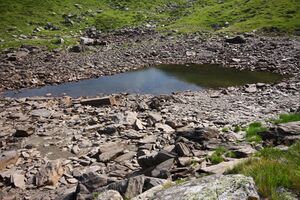 Krottenseen 1687 13-08-05.jpg