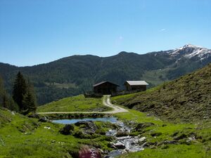 Moseralm, mosergrabenbach-12-2007-05-19.jpg
