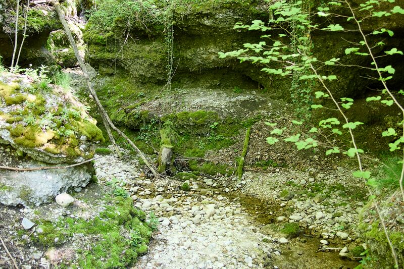 Datei:ND 356 Teichenbach Unterkainisch-0216-2025-05-01.jpg