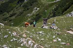 Preuneggsattel 11686 2013-08-11.jpg