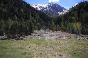 Sattental 45908 2017-05-19.jpg