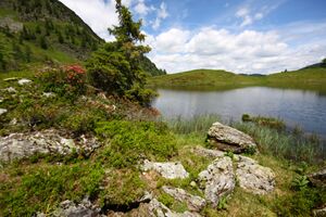 Schobersee 93178 2015-06-26.jpg