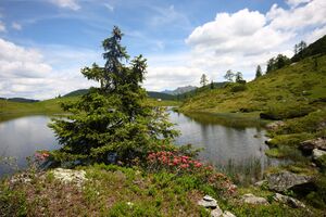 Schobersee 93182 2015-06-26.jpg