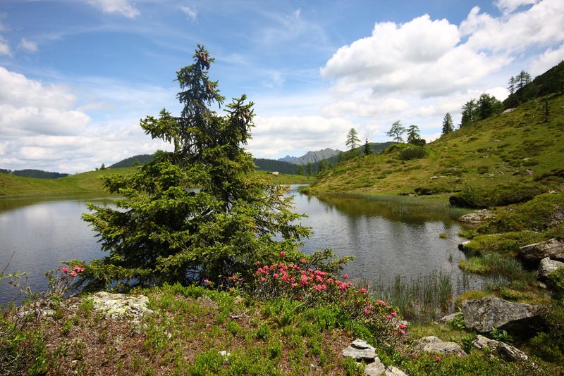 Datei:Schobersee 93182 2015-06-26.jpg