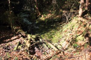 Strummern mühlreith 47209 2017-05-17.jpg