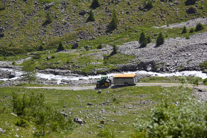 Datei:Untere stegeralm-2000-2021-06-21.jpg