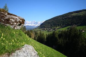 UntertalIMG 4330.jpg