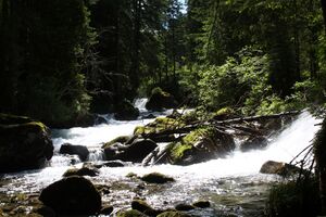 Untertalbach 2162 2009-05-29.jpg